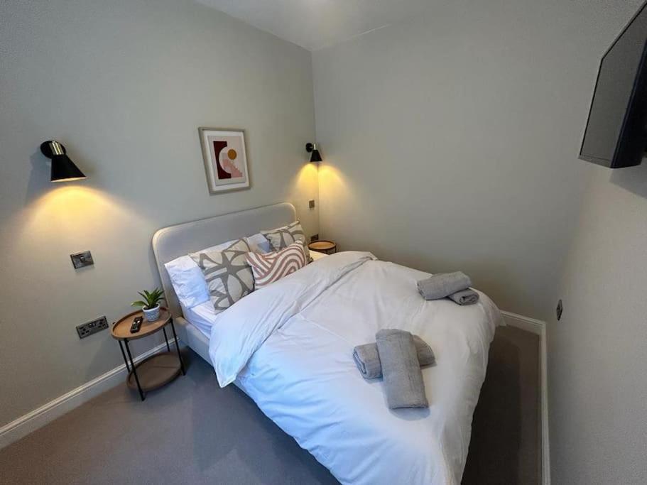 Modern Townhouse Snowdonia Holiday home