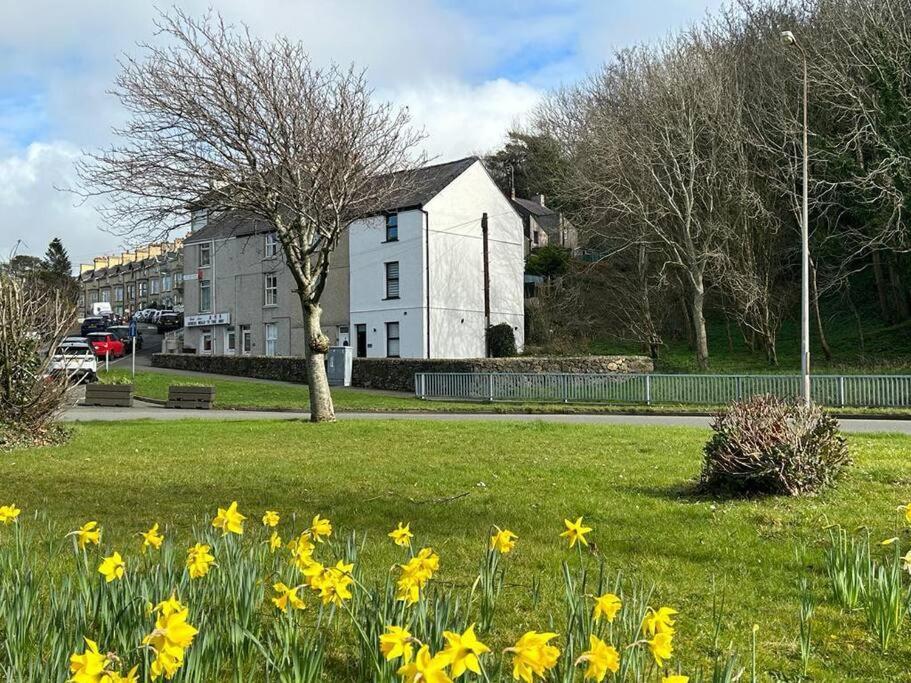 Holiday home Modern Townhouse Snowdonia